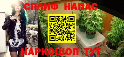 соль ск Обь