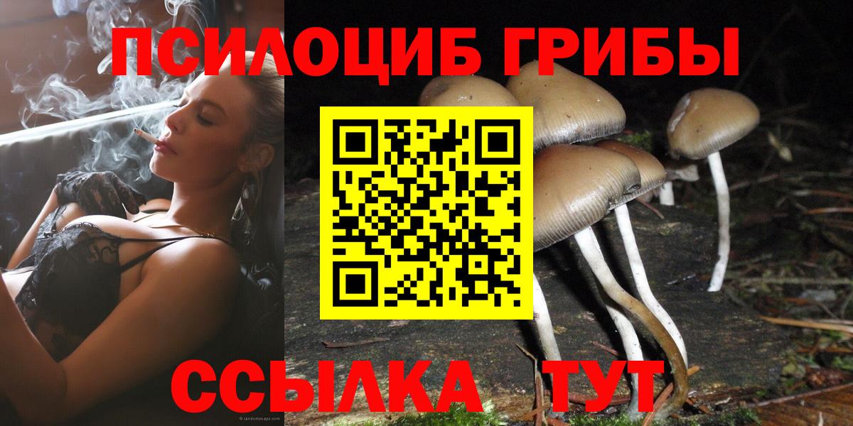 Россошь  Псилоцибиновые грибы Psilocybine cubensis  Вход с VPN 